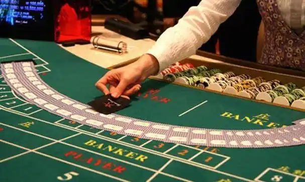 Fitur riwayat taruhan boxing di perkasa togel menampilkan statistik pribadi dan analisis performa